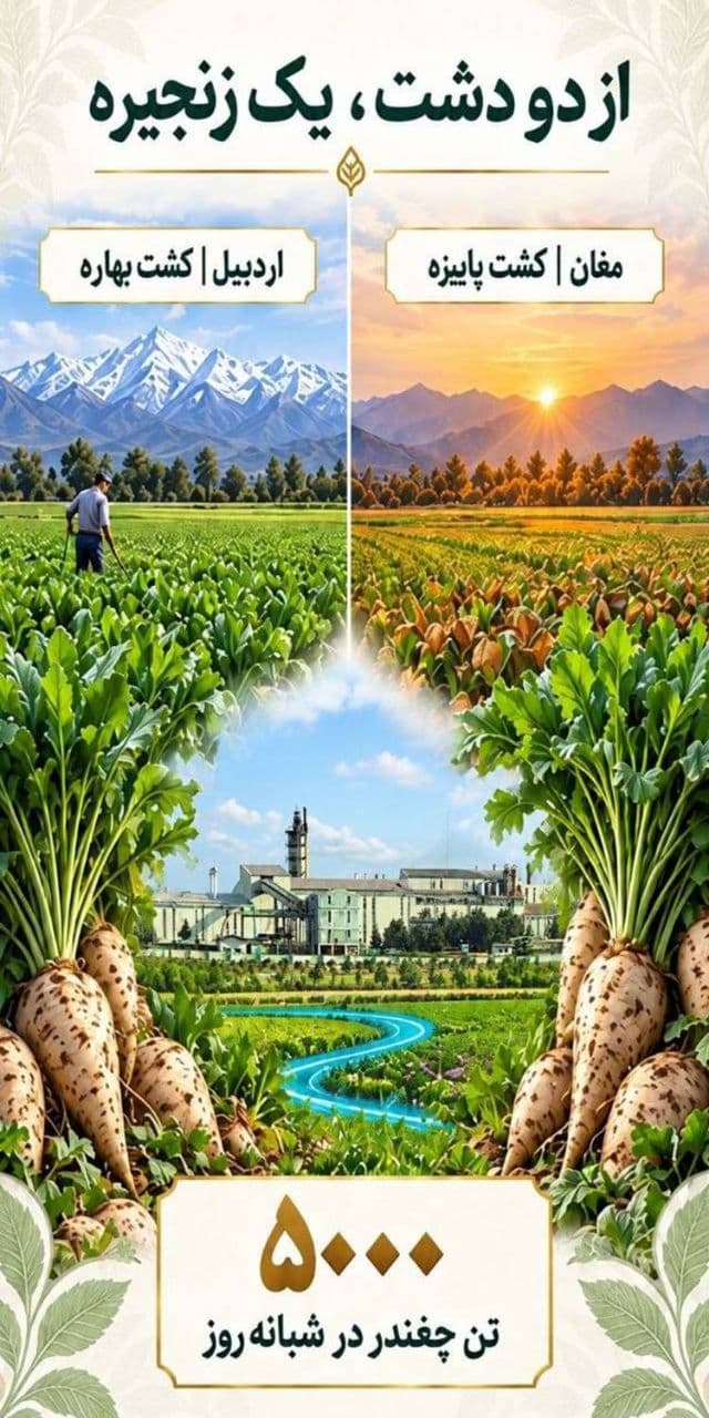 بروشور محصولات ۲