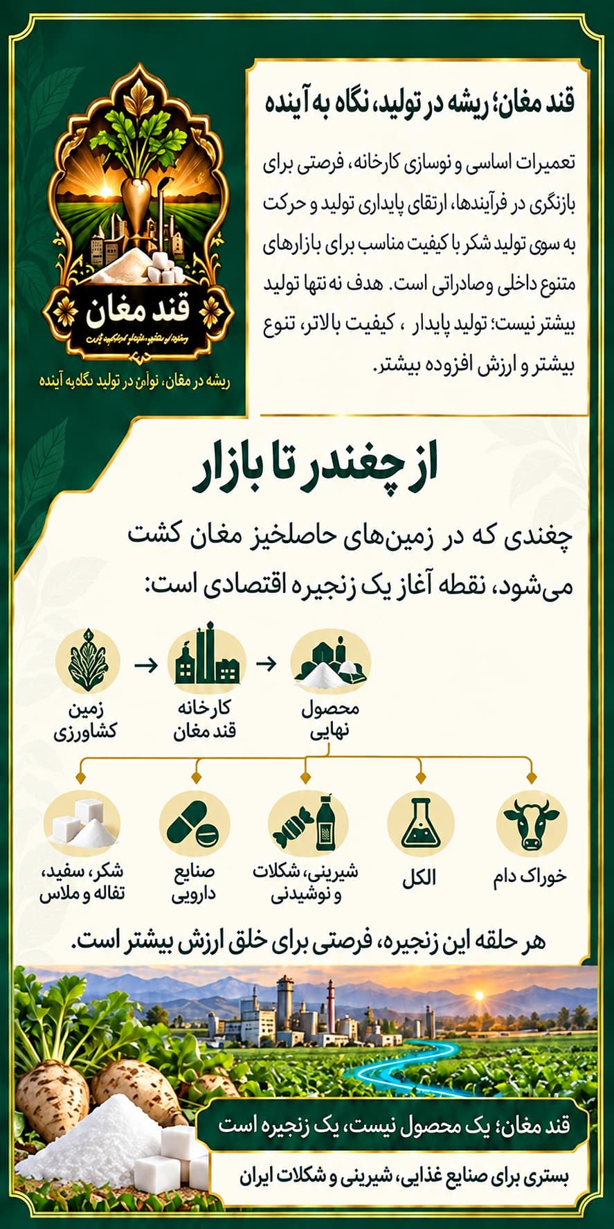 بروشور محصولات ۵
